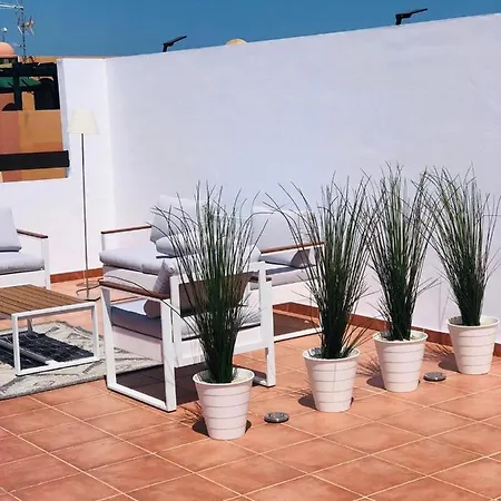 Paraiso Playa: Beachfront Attic With Private Solarium Apartment Vera